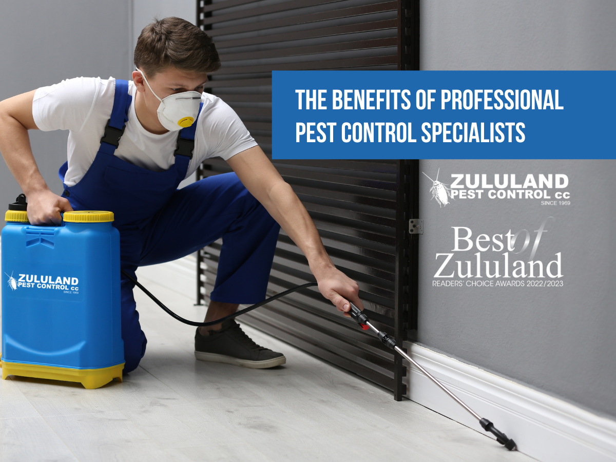 The Benefits of Professional Pest Control Specialists